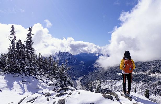 "Best of Mount Rainier National Park" Experience from Seattle