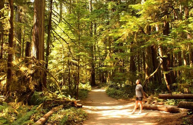 Best of Olympic National Park from Seattle: All-Inclusive Small-Group Day Tour
