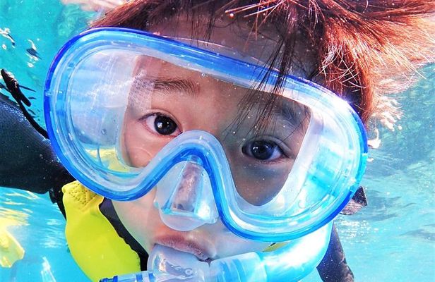 Charter Snorkeling (near Churaumi Aquarium) Free photo gift