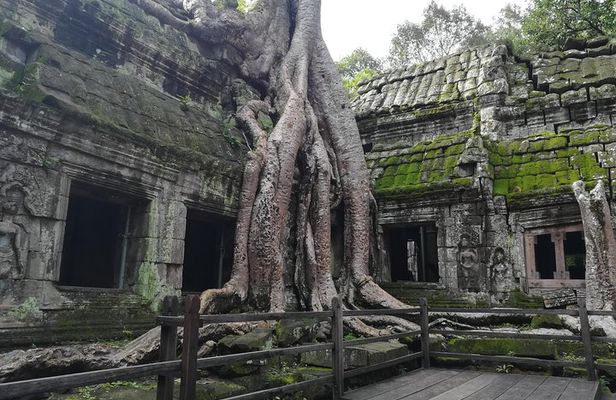 Half Day Angkor Wat Sunrise Private Tour