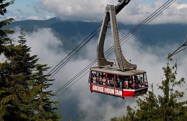 Vancouver Mountain to Mountain (Grouse,Cypress,Mount Seymour) Private