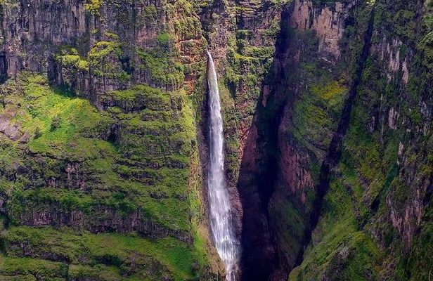 Four Days Simien Mountains Trekking