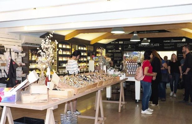 From Adelaide: Discover Adelaide Hills, Hahndorf & Mount Lofty