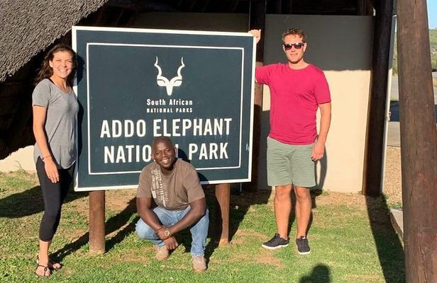 Addo Elephant National Park Day Tour from Port Elizabeth
