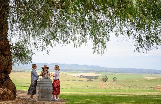 Small Group All Inclusive Barossa Valley Food and Wine Tour
