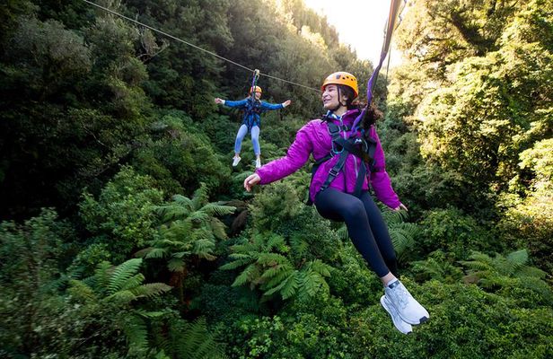 The Ultimate Canopy Zipline Experience Private Tour From Auckland