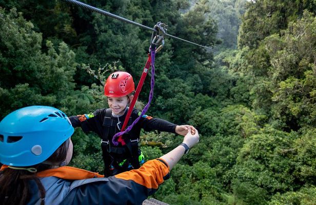 The Original Canopy Zipline Experience Private Tour From Auckland