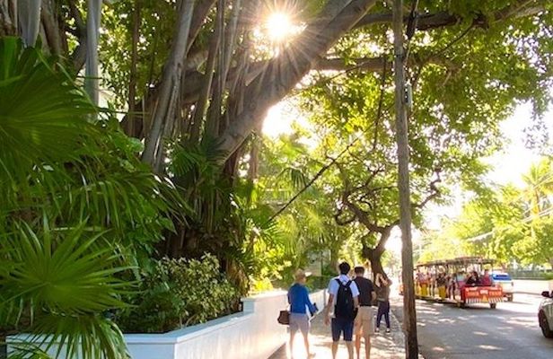 Key West Historic Bahama Village & Hemingway Heritage
