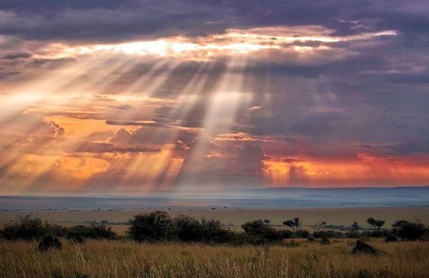 6 Days Maasai Mara/Nakuru/Amboseli Group Safari