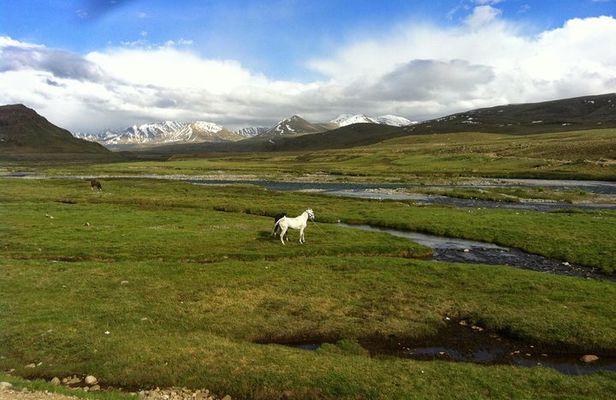 9 Days Tour to Skardu, Deosai, Rama meadows From May to October