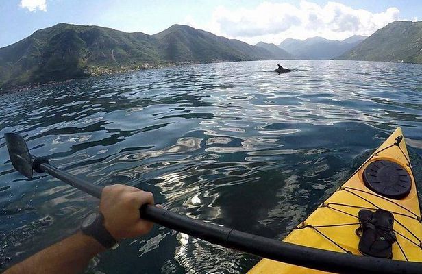 Kayak active tour