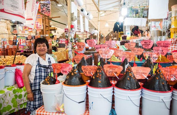 Journey Through La Merced