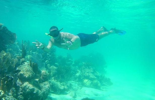 A beach day with open bar, lunch and snorkeling LOS ARRECIFES RESTAURANT