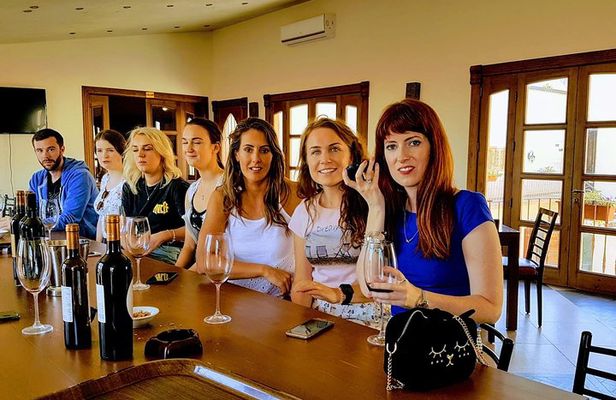 Full-Day Private Wine Tasting Tour
