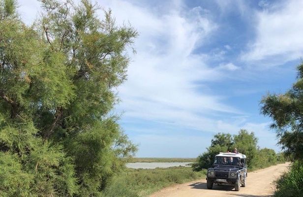 4x4 Camargue Safari 4h - Departure from Arles