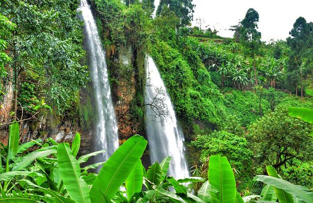 2 Sipi Falls hike and Coffee Tour Experience