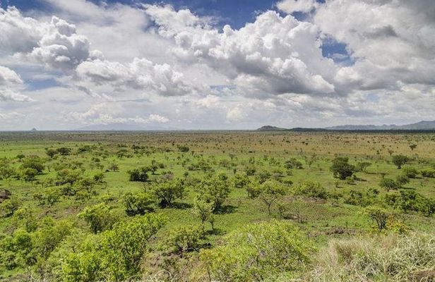 2 Days Pian-Upe game Reserve
