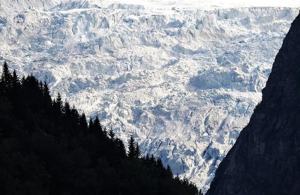 Fjord & Glacier Tour - From VOSS