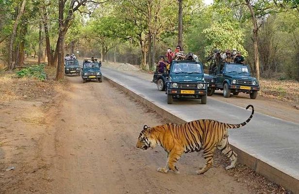 Private 5 Days Delhi Agra Jaipur Ranthambhore Tour From Delhi