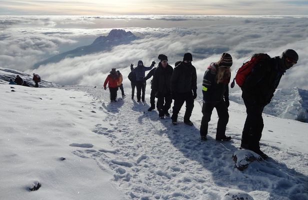 Mount Kilimanjaro 7 Days - Machame Route