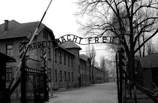 From Krakow: Auschwitz-Birkenau and Salt Mine with Private Transfer