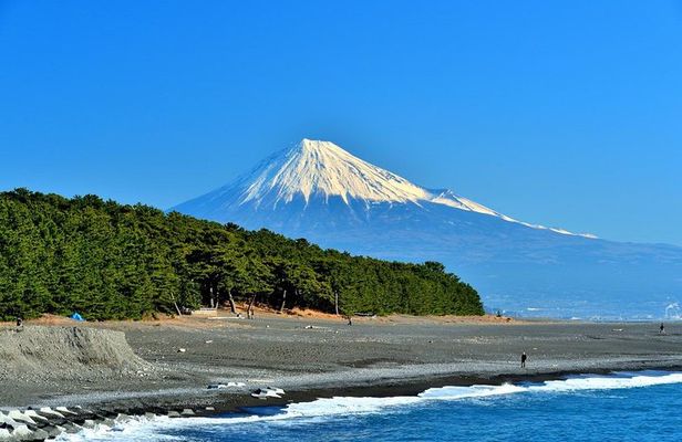 Shizuoka/Shimizu Mt Fuji View 6 hr Private Tour: Guide Only