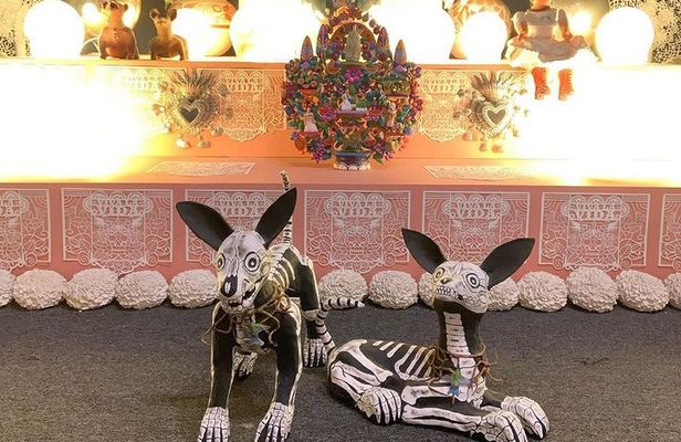 Private Tour to Frida Khalo Museum / Xochimilco / Anahuacalli