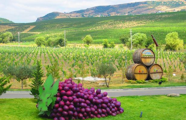 Organic Wine Tour Shamakhi with Local Lunch
