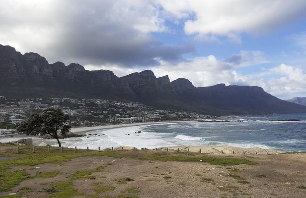 Half day African Penguin Tour