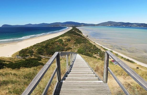 Bruny Island Day Tour Private Charter Service