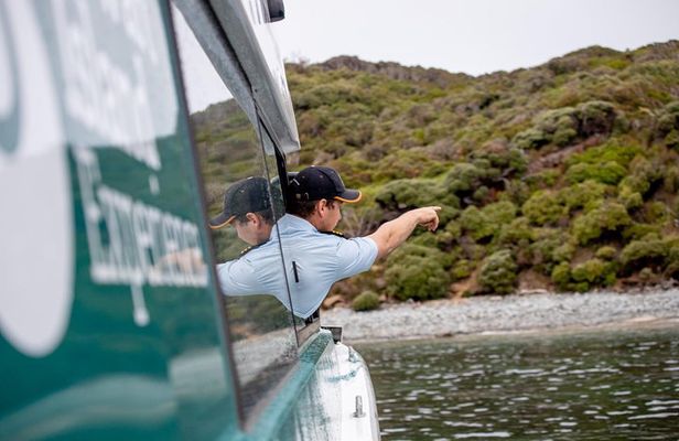 Stewart Island Wild Kiwi Experiences