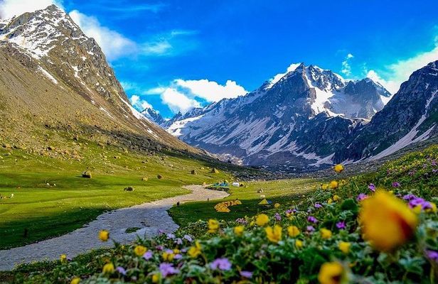 12 - Days Private Tour Foothills of Himalayas