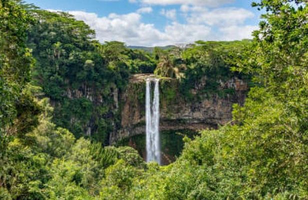 South Tour Full Day - Trou aux Cerf, Alexandra Falls, Black River Gorges etc..