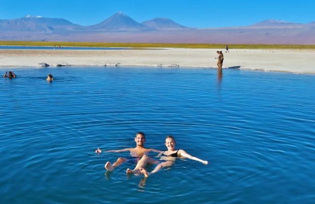 Tour to Laguna Cejar and Tibenquinche