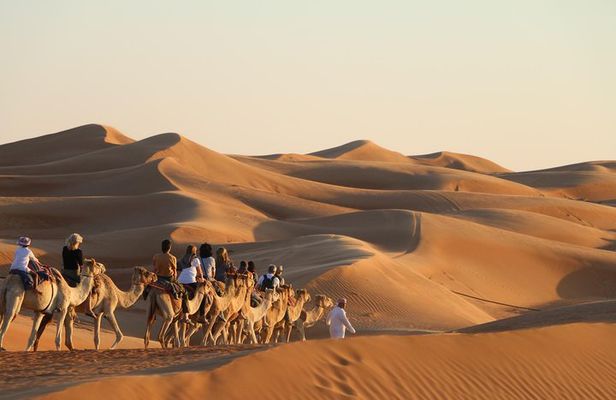 Wahiba Sands Safari with Wadi swimming and Camelride