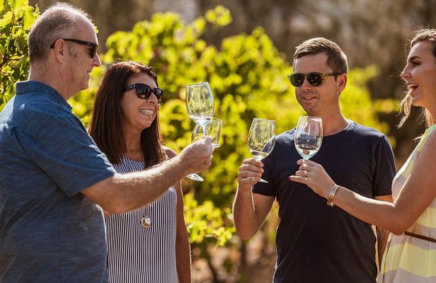 Swan Valley Boutique Wine Tour: Half-Day Small Group Experience