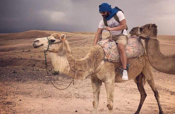 buggy,Camel Ride & dinner show in Agafay desert