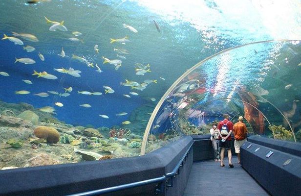 Admission Ticket to Underwater World Pattaya with Return Transfer