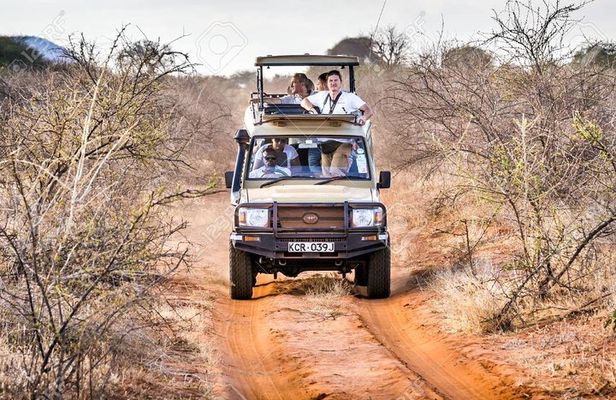 2 Days Tsavo east Jeep Safari (minimum 2 persons)