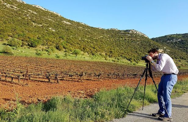 Private Mycenae, Anc Nemea & Nemean Winery Experience from Athens
