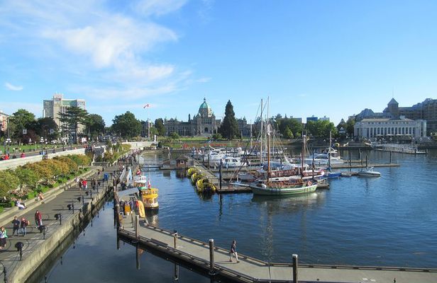 Essence of Victoria: Private Tour of Nature, History & Coast