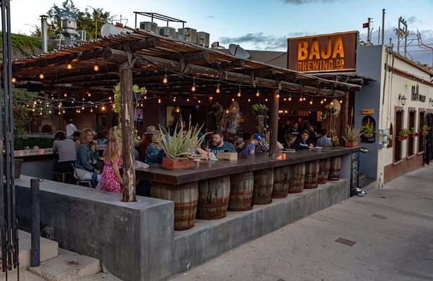 4 Hours Art Walk Experience in Cabo