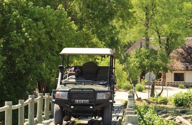 8 Days Moremi - Chobe Mobile Safari with Mukoro