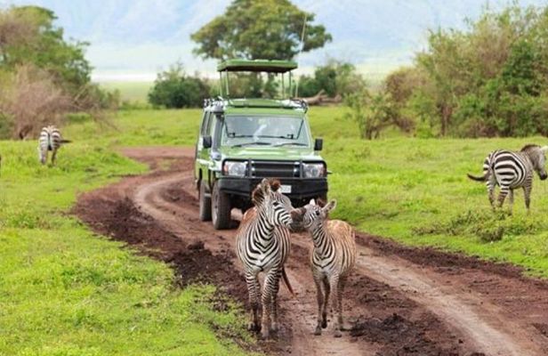 2 Days Selous Game Reserve Safari from Zanzibar or Dar es salaam