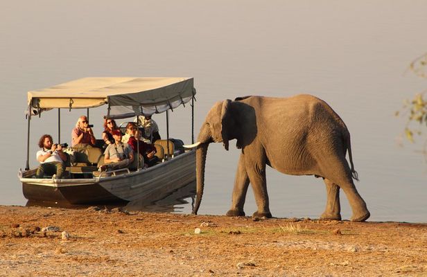 Chobe Full day Safari: Game Drive & Boat Safari with Lunch