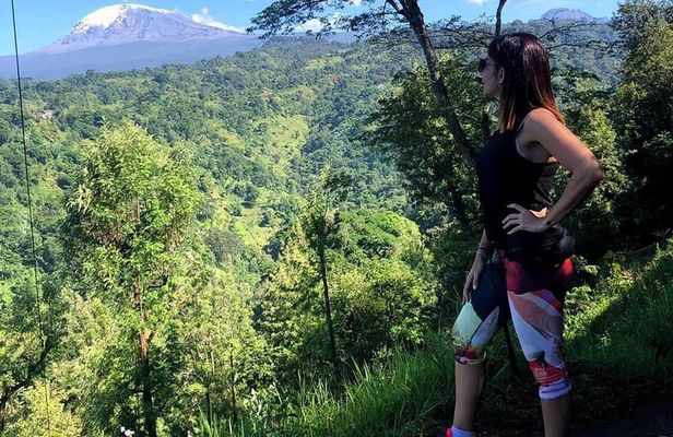Materuni Waterfalls and Coffee Tour