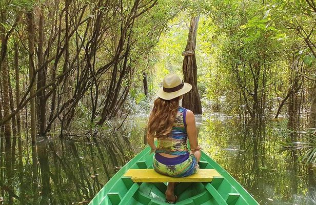 Live the best 10 attractions in Alter do Chão