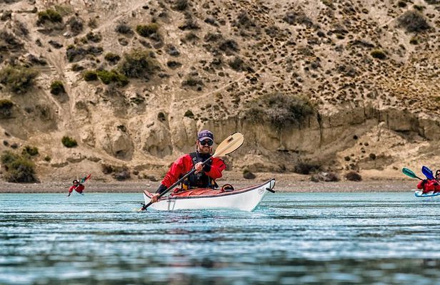 Darwin Experience - kayaks & adventure
