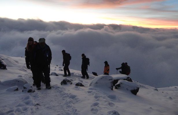 Mount Kilimanjaro Trek 7-Days: Lemosho Route
