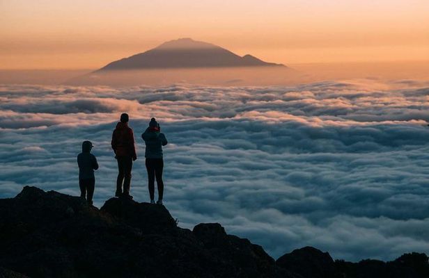 Mt Kilimanjaro Trek; Rongai Route - 6 Days
